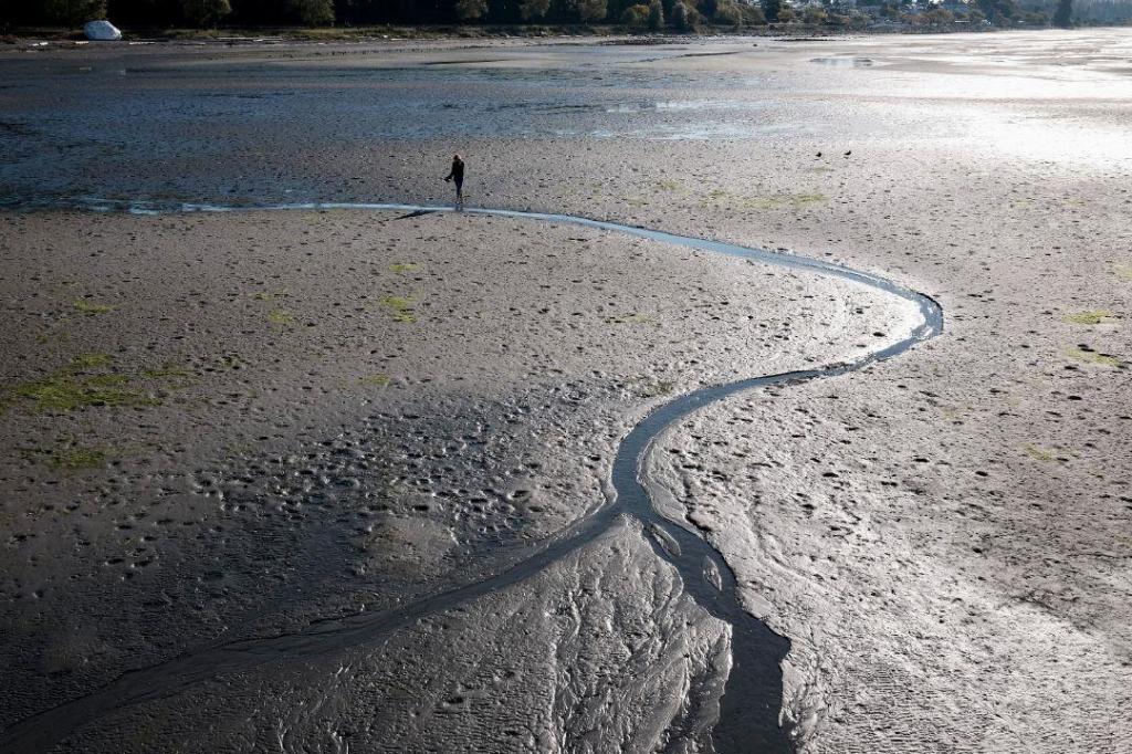 THROUGH YOUR LENS: Readers share images of White Rock, Surrey