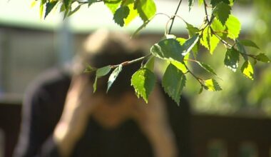 HSE urges people reach out on World Mental Health Day