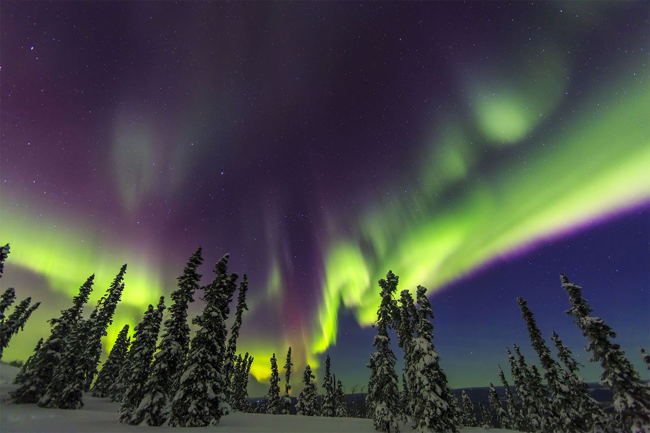 Aurora borealisCredit: Gallo Images ROOTS Collection/Getty