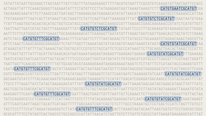 Is AI making biological discoveries? Why scientists are concerned