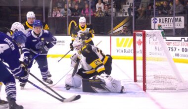 Brantford Bulldogs goaltender Vilmer Salen Forsberg makes a stop against the Brampton Steelheads during OHL action on Friday at the TD Civic Centre.