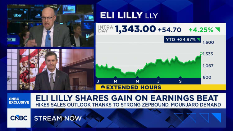 Eli Lilly CEO Dave Ricks on the obesity market: The room for expansion is dramatic