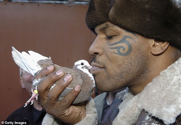 Tyson's fondness for pigeons has been well documented over the years (pictured in 2005)