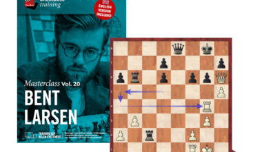 Learning strategy from Bent Larsen