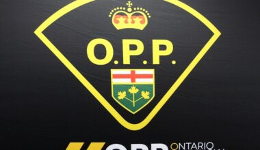 OPP logo