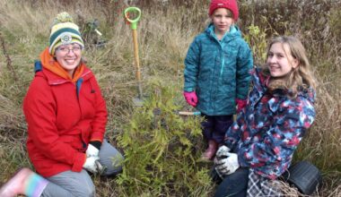 Photos: Expert says Junction Creek tree-planting helps stream's health