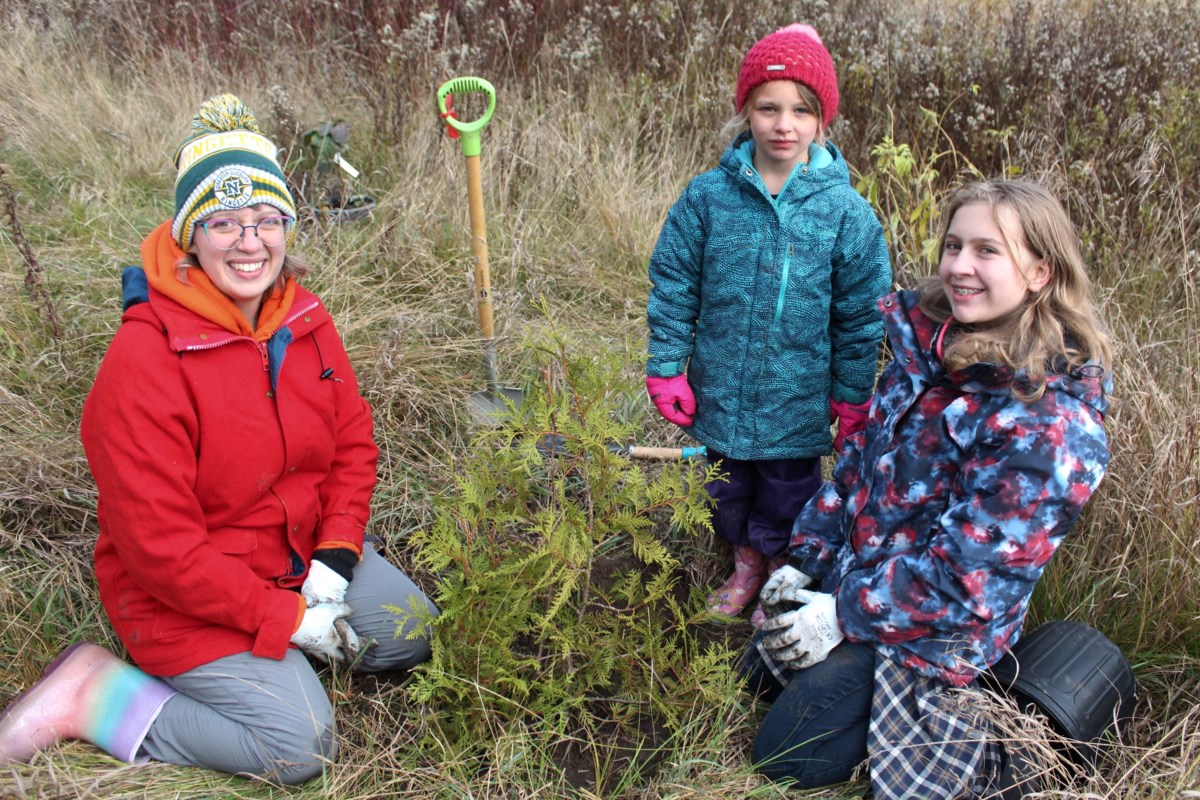 Photos: Expert says Junction Creek tree-planting helps stream's health