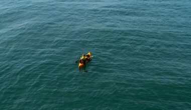 After Something Hit His Kayak, He Had to Swim to Shore