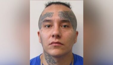 Violent sex offender expected to live in Winnipeg a high risk to reoffend: police