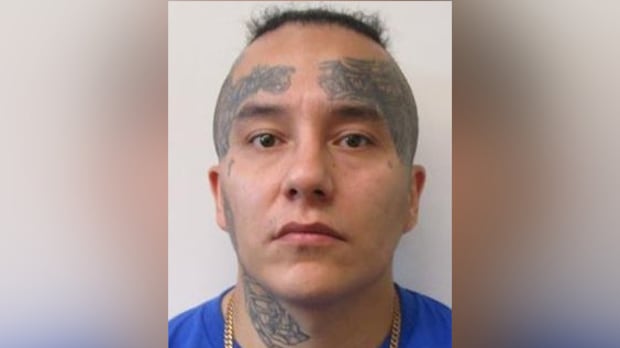 Violent sex offender expected to live in Winnipeg a high risk to reoffend: police