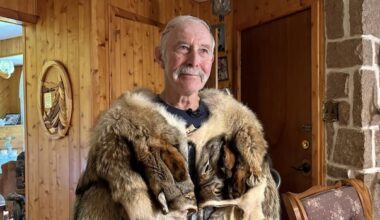 Bathurst-area man escapes bear attack while picking blueberries