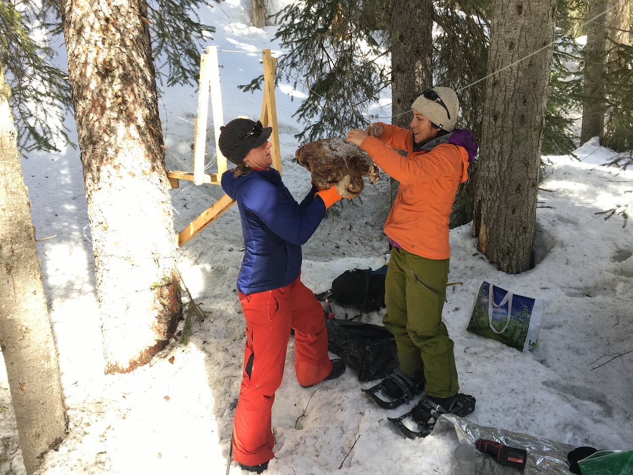 Aerin Jacob (left) and Mirjam Barrueto (right) baiting a camera station in the Columbia Mountains, April 2018.