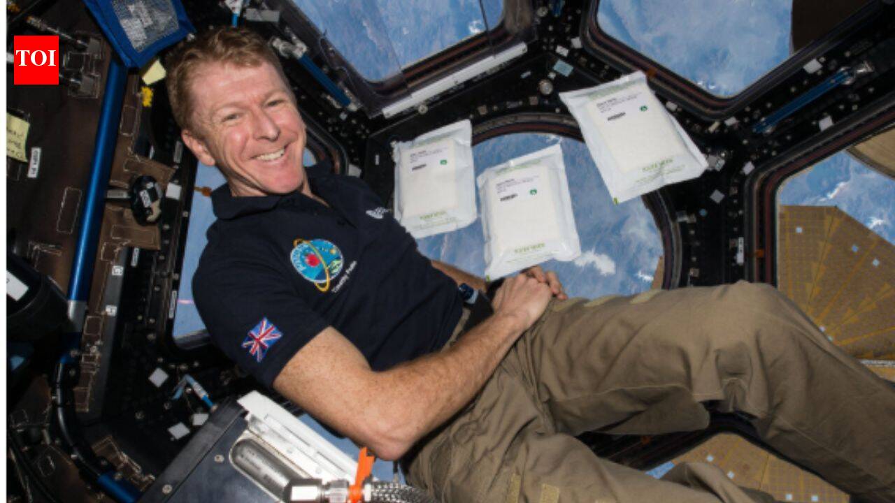 In 2015, 2kg of rocket seeds went to the space station; after their return, 600,000 UK children helped test them, and researchers found they grew more slowly but remained viable