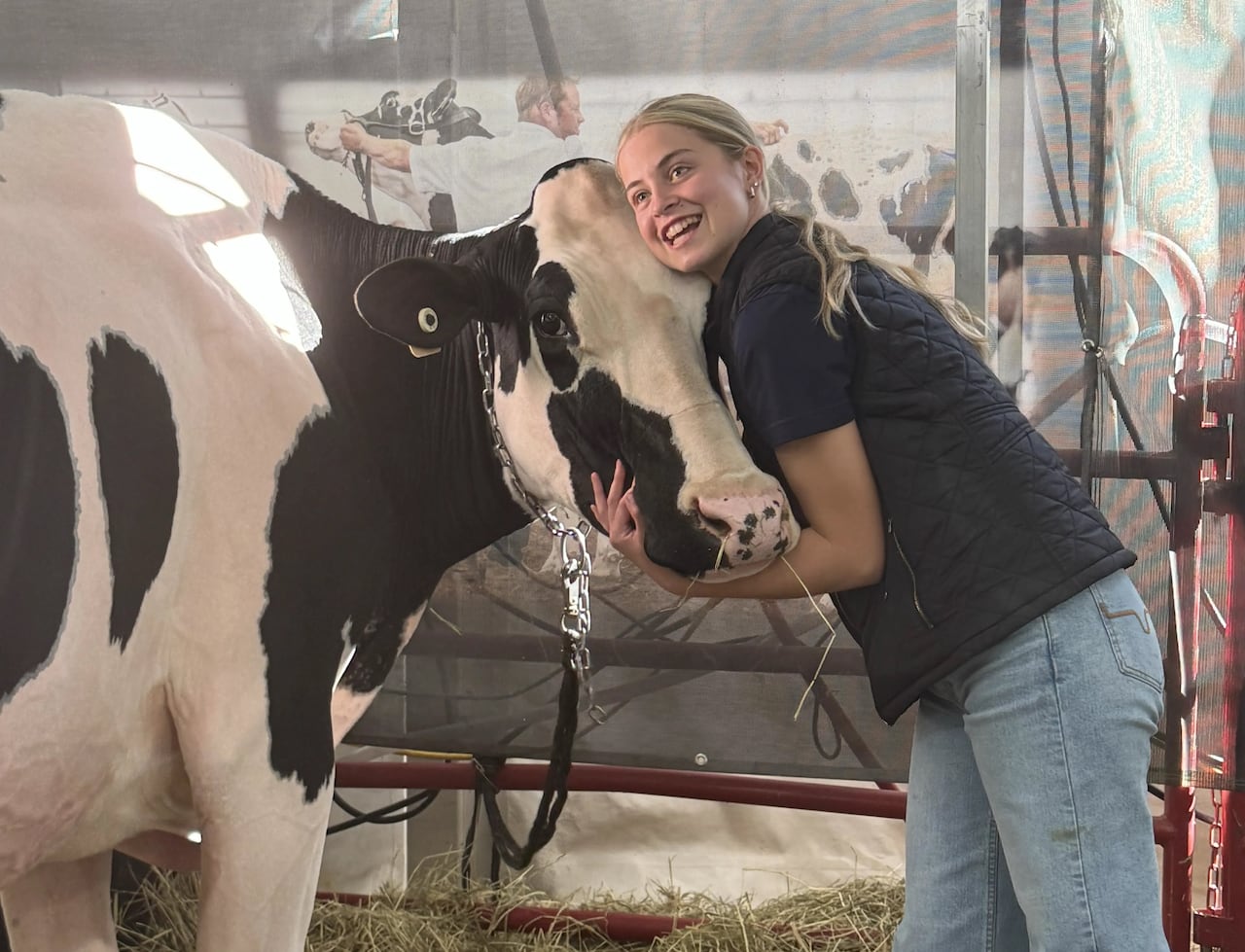 A girl in a dark top and jeans poses with a black and white cow in a barn setting.