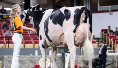 Canada scores a dairy win on U.S. soil as farmers grumble about Trump's trade war