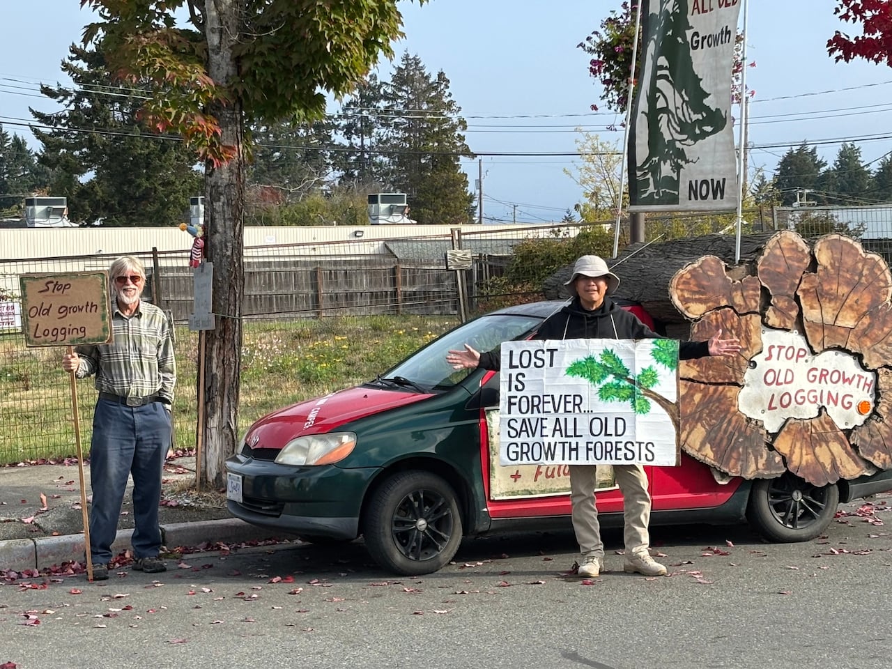 Protestors in Parksville, who were a part of a coordinated supporting event last Friday. Jennifer Duggan says a committed group in Parskville have been meeting every Friday for nearly five years to advocate for improved forestry standards.