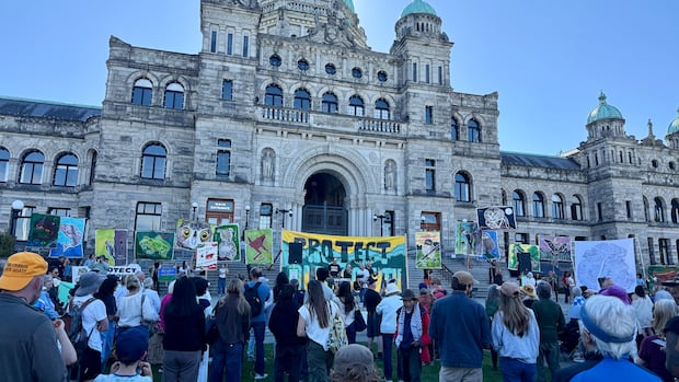 Hundreds rally at B.C. Legislature demanding stronger protections for remaining old-growth forests