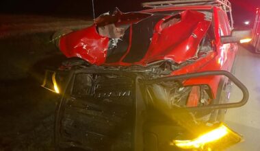 Sask. survivor of crash with moose shares warning about road dangers from wildlife