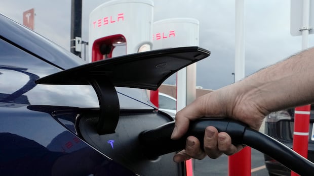 Tesla's exclusion from Manitoba EV program 'incredibly unfair,' politically motivated, court hears