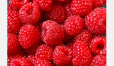 Driscoll’s faces class-action lawsuit over berry pesticide residue claims in Canada