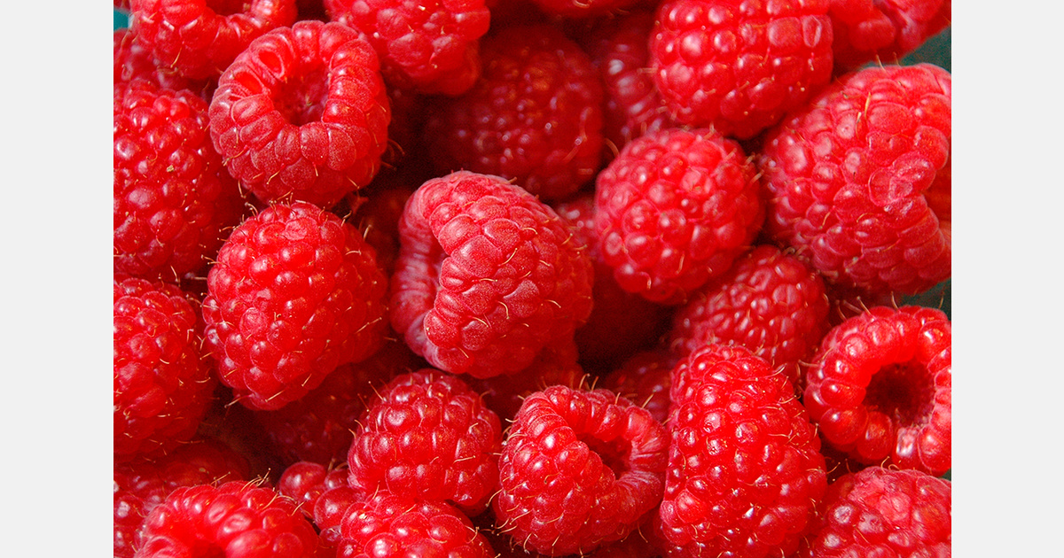 Driscoll’s faces class-action lawsuit over berry pesticide residue claims in Canada