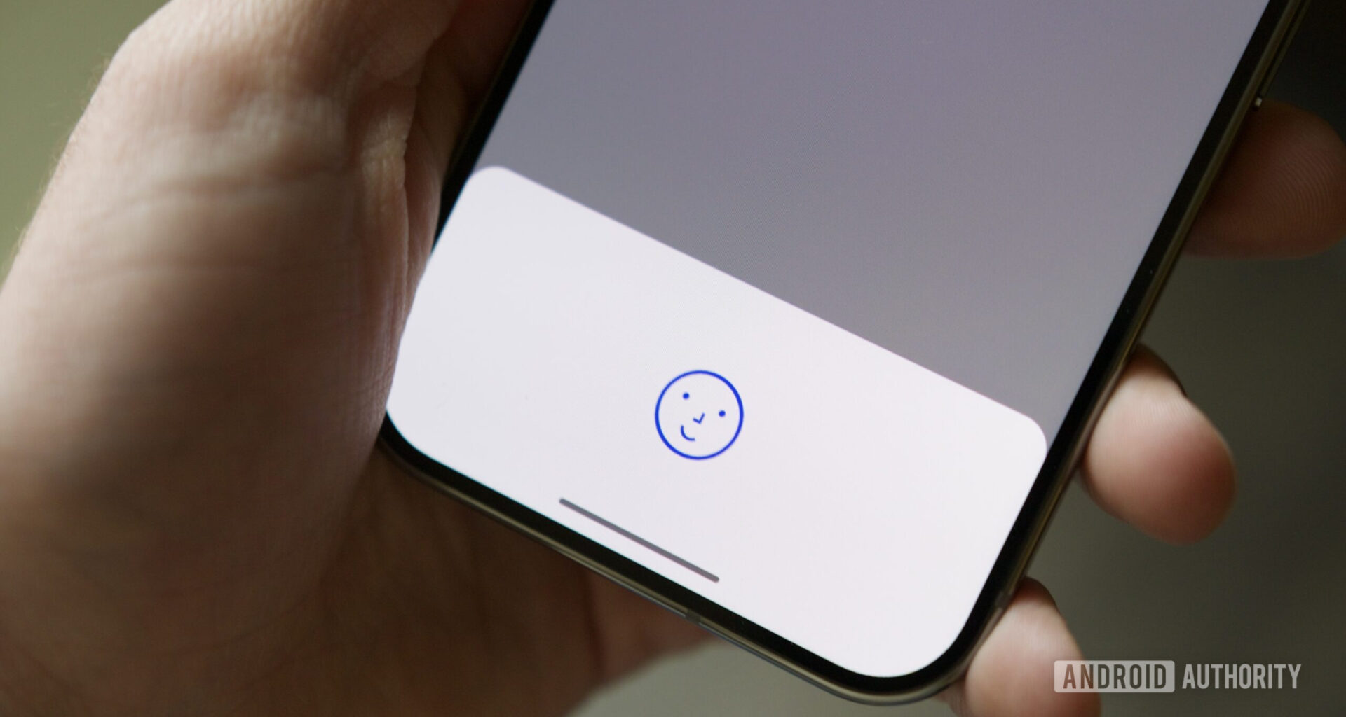 google pixel 9 face unlock prompt