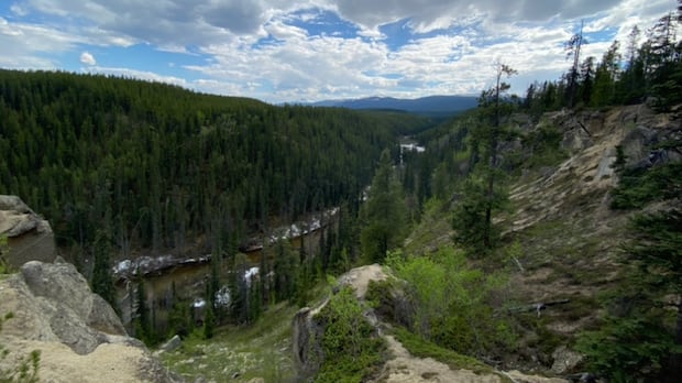 Survey shows broad support for mining activity in Whitehorse greenspace