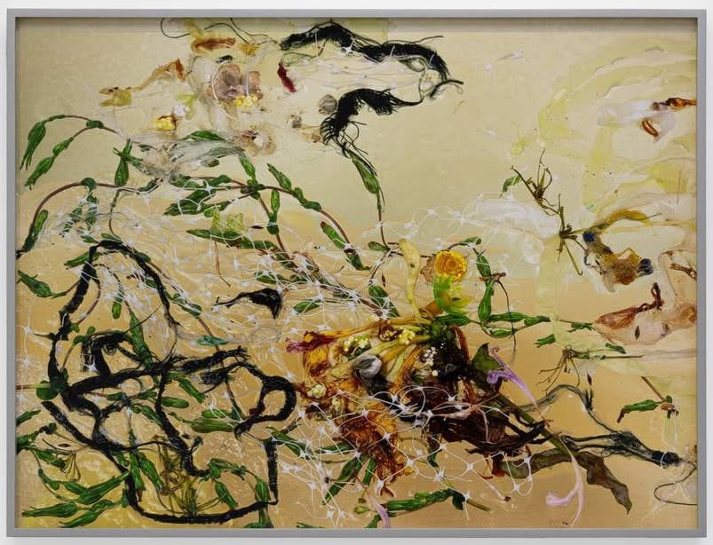 Photo of various items including plastic mesh and botanical parts assembled into an abstract composition on a pale amber backdrop.