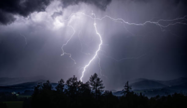 Ottawa flash flood losses push Ontario-Quebec storm estimate to $491 million
