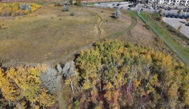 Amazon says it's reviewing oversight after contractor damages Winnipeg preserve