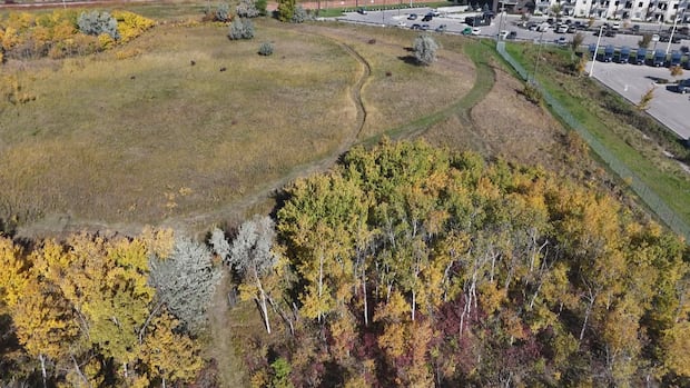 Amazon says it's reviewing oversight after contractor damages Winnipeg preserve