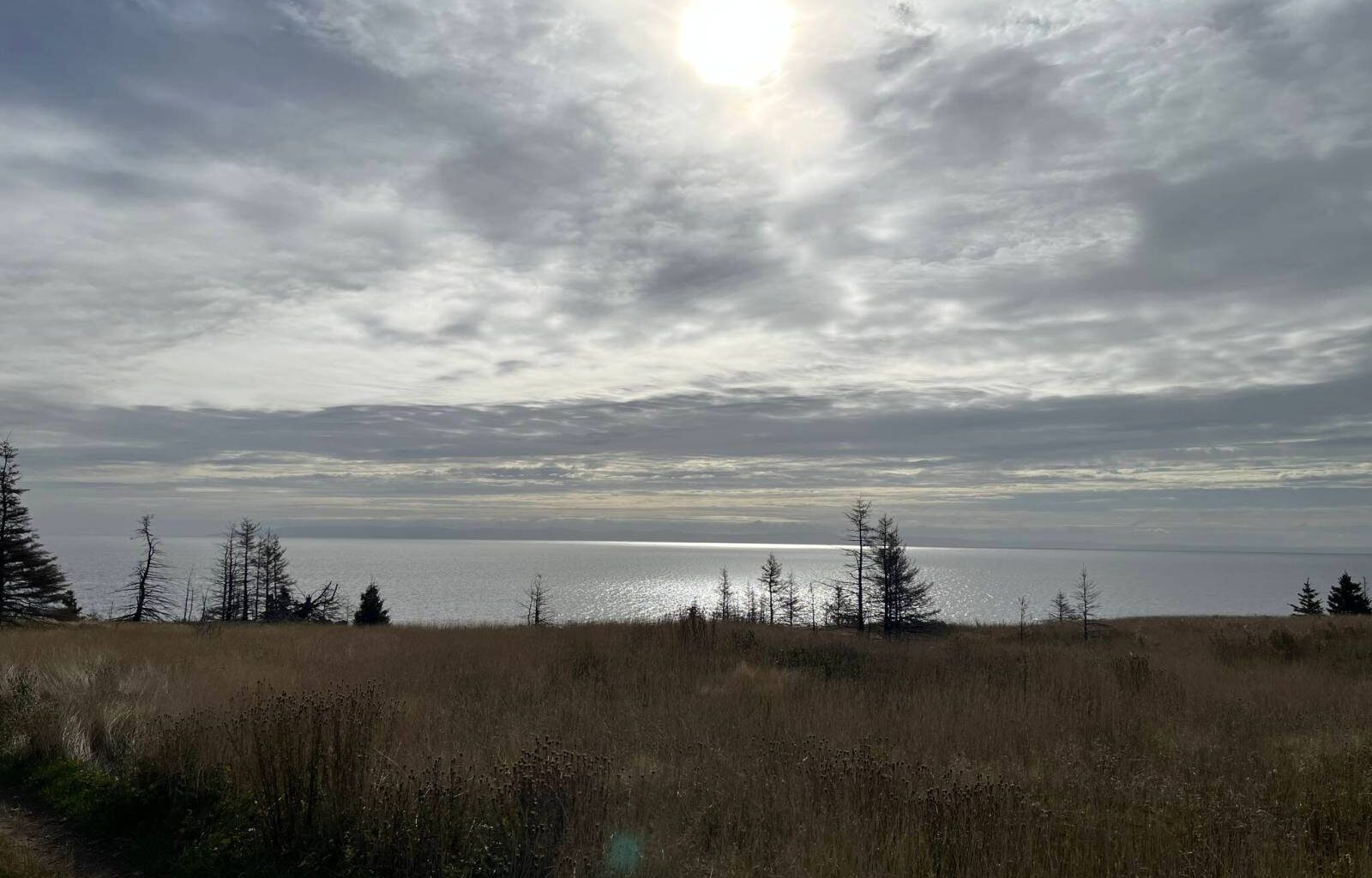 Nature doesn’t waste its time – Winnipeg Free Press