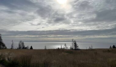 Nature doesn’t waste its time – Winnipeg Free Press