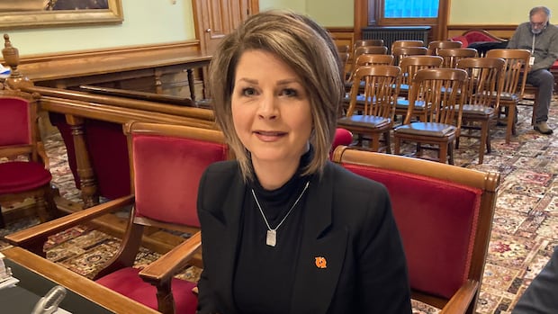 N.B. Power leaders face tough questions on rate hikes
