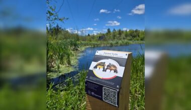 New signs at Shubenacadie Wildlife Park feature species names in Mi'kmaw language