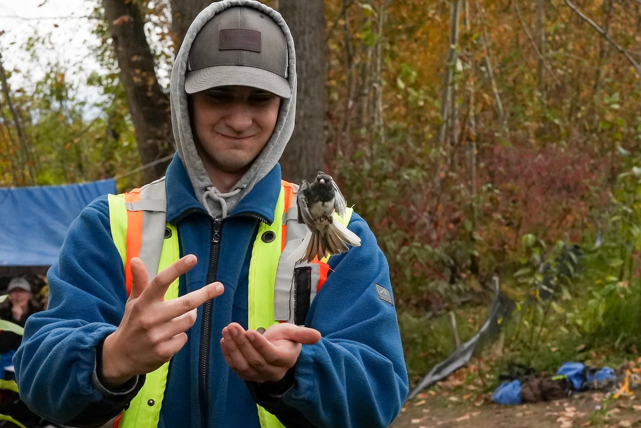 A bird flies out of a man's hands.