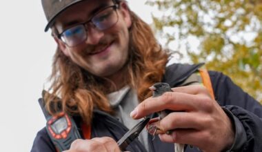 Fort McMurray non-profit launches long-term studies of bird populations in oilsands region