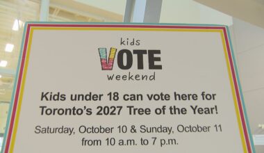 City of Toronto hosts 'Kids Vote' campaign during advance voting weekend