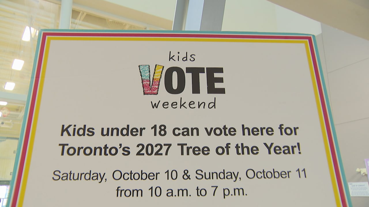 City of Toronto hosts 'Kids Vote' campaign during advance voting weekend