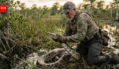 A retired US Army veteran has spent 11 years hunting Burmese pythons in the Everglades; Florida pays up to $18 an hour, but every catch demands a close encounter | World News