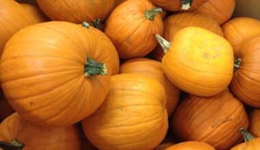 What's open, what's closed in the Halifax area for Thanksgiving 2026