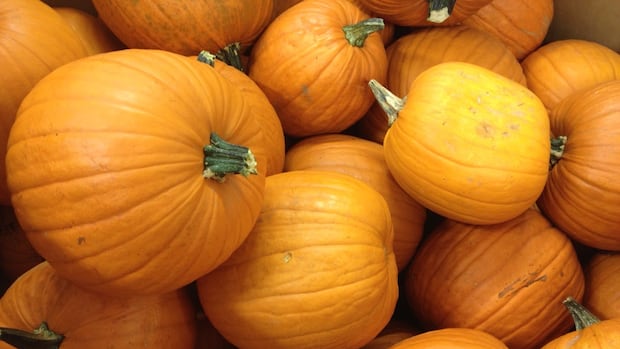 What's open, what's closed in the Halifax area for Thanksgiving 2026