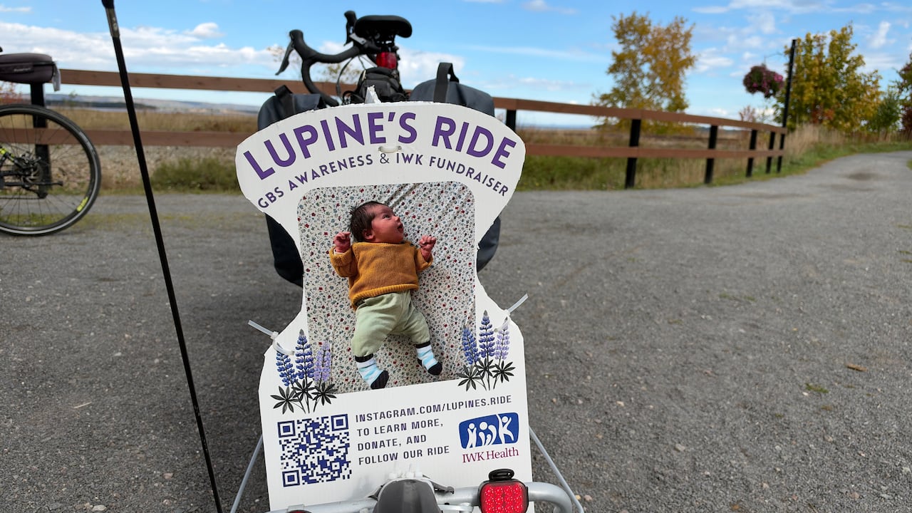A poster affixed to the back of a bicycle with a picture of an infant.