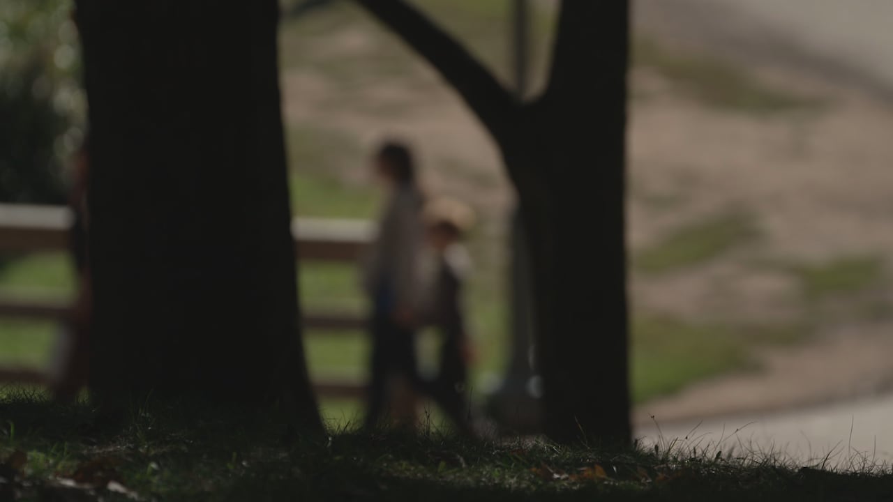 An adult walks in a park in the sun with a child at their side. They are pictured between two trees in the foreground.