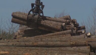 Ottawa announces N.B. digital forestry centre to transform industry