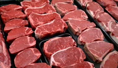 Everyone has the same question in the midterms – where’s the beef? (And how much does it cost?) – Winnipeg Free Press