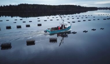Report finds Argyle municipal actions on aquaculture not criminal, but public concerns legitimate