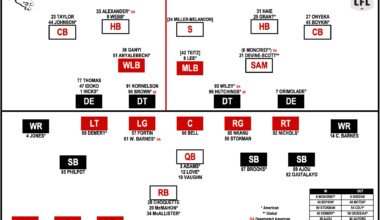 7 Things | Lions @ Stamps