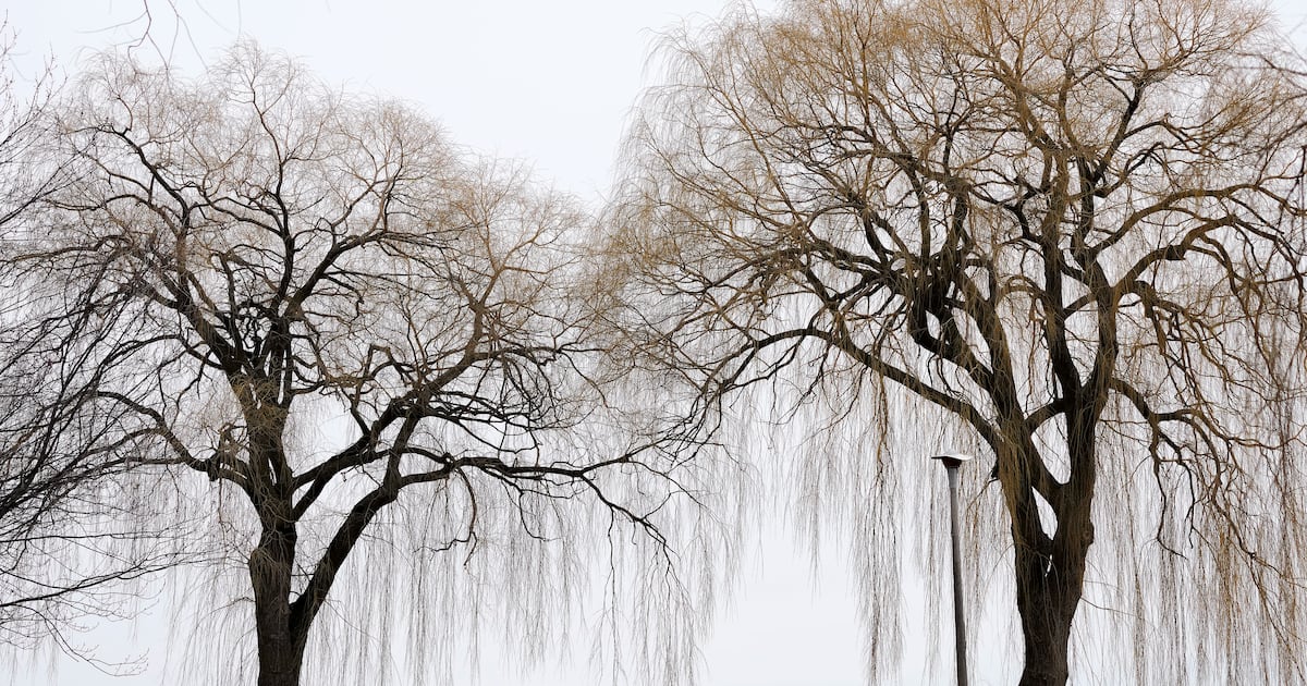 Toronto weekend forecast: will it be cold?