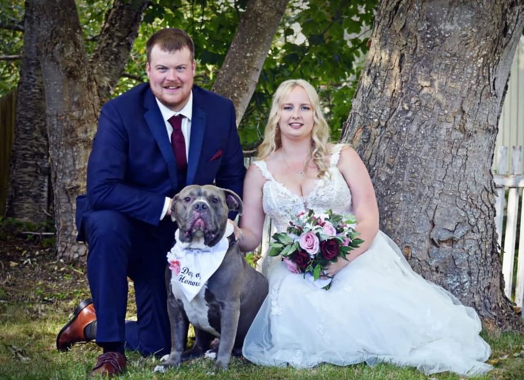 wedding photo, with dog